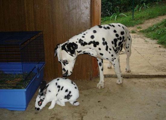 How come mom and dad never told me about you?