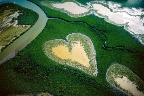 Aerial view of a heart shaped field.